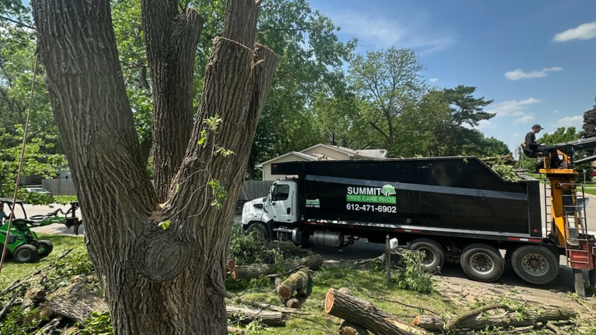 summit tree care pros tree service